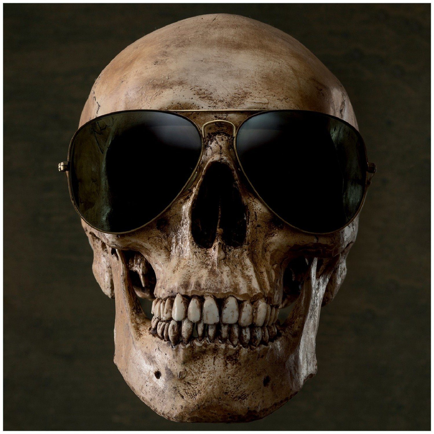Wallario Memoboard Totenschädel mit cooler Sonnenbrille