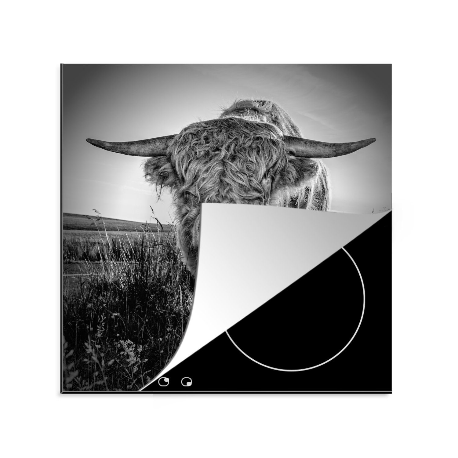MuchoWow Herdblende-/Abdeckplatte Schottischer Highlander - Schwarz und Weiß, Vinyl, (1 tlg), 78x78 cm, Ceranfeldabdeckung, Arbeitsplatte für küche