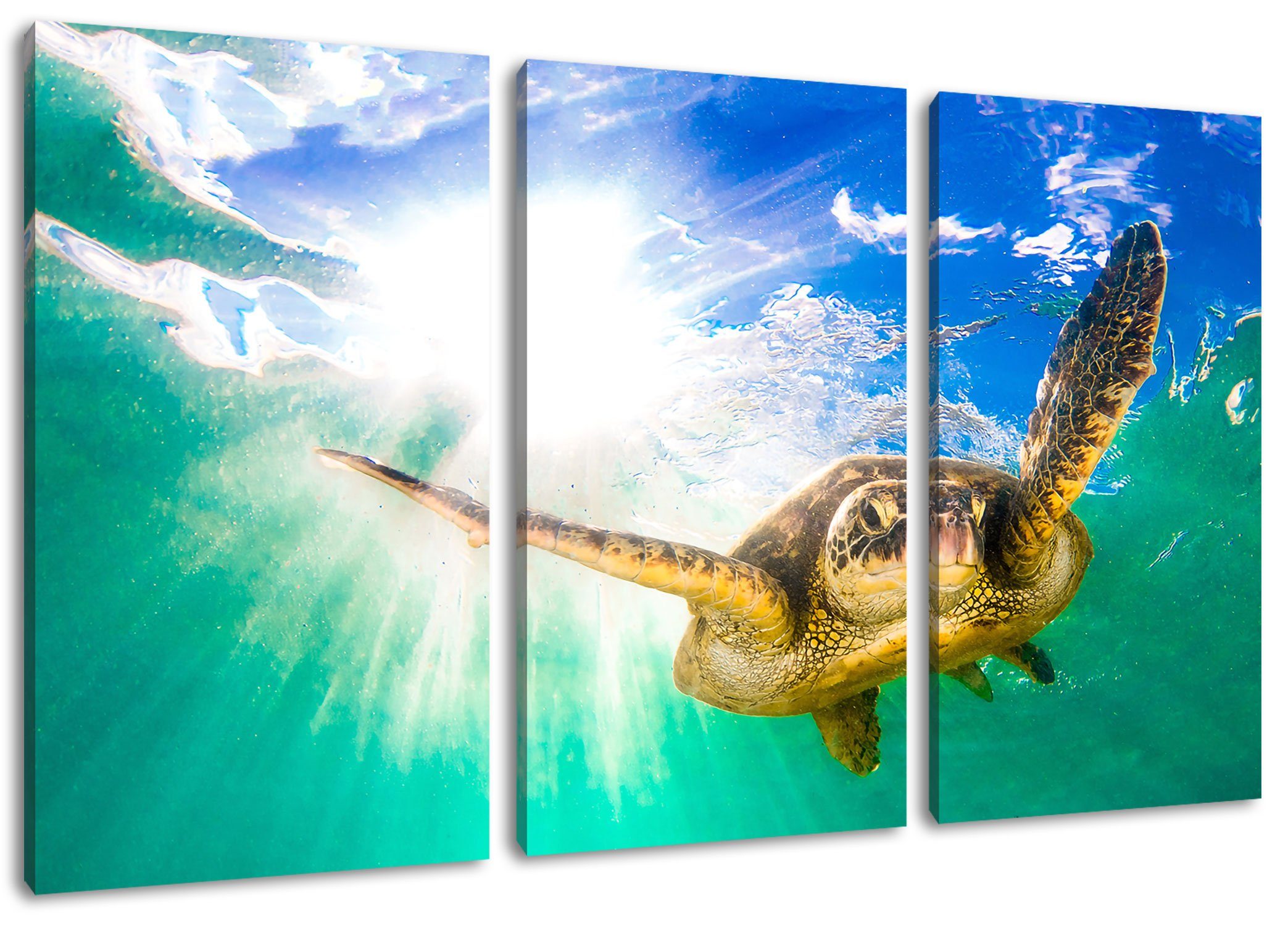Pixxprint Leinwandbild Grüne Meeresschildkröte, Grüne Meeresschildkröte 3Teiler (120x80cm) (1 St), Leinwandbild fertig bespannt, inkl. Zackenaufhänger