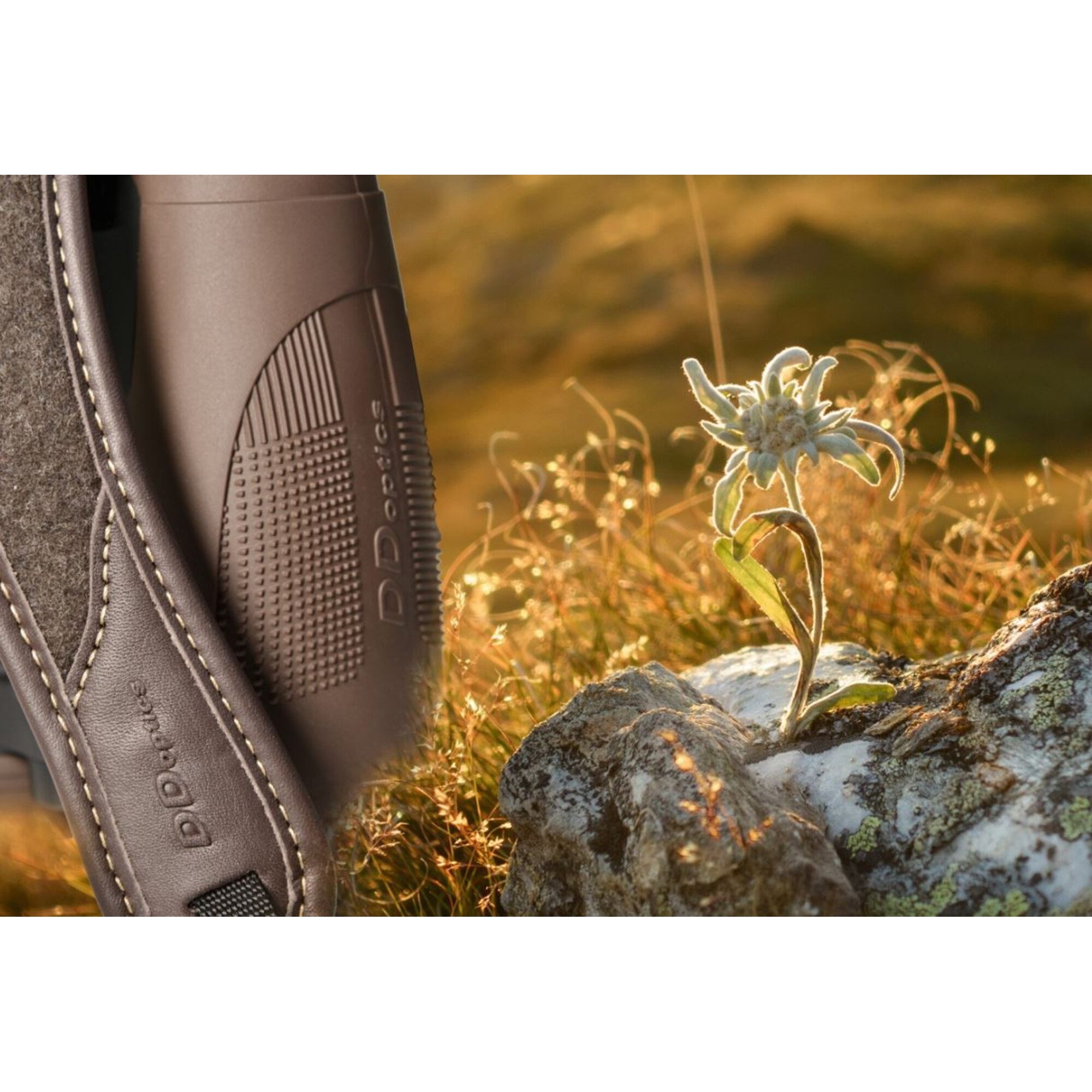 DDoptics DDoptics Fernglas Pirschler 8x56 Gen.3 braun Loden/Leder Fernglas