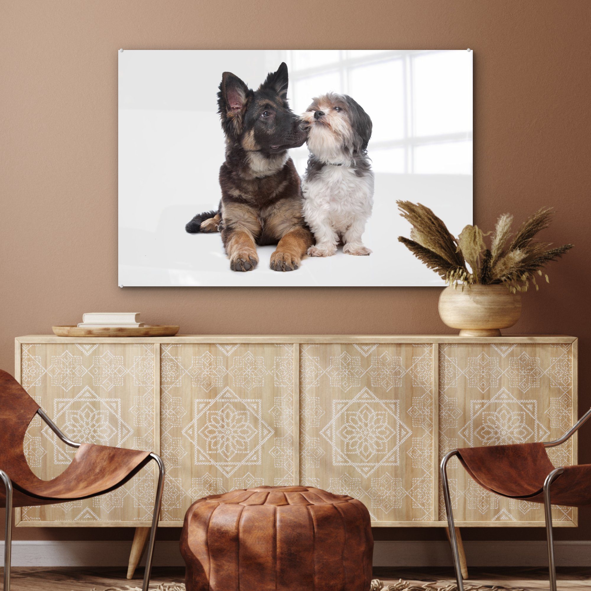 St), & Wohnzimmer MuchoWow Acrylglasbilder (1 Boomer Acrylglasbild mit Schlafzimmer anderen Hund, einem