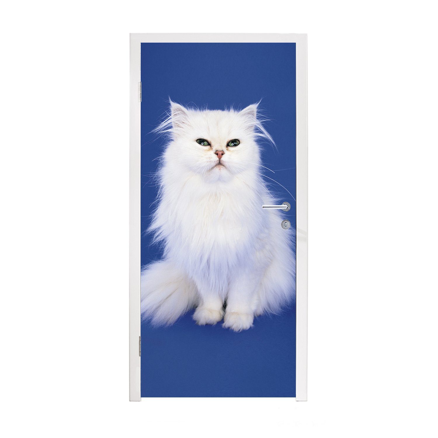 MuchoWow Türtapete Weiße Perserkatze mit blauem Hintergrund, Matt, bedruckt, (1 St), Fototapete für Tür, Türaufkleber, 75x205 cm