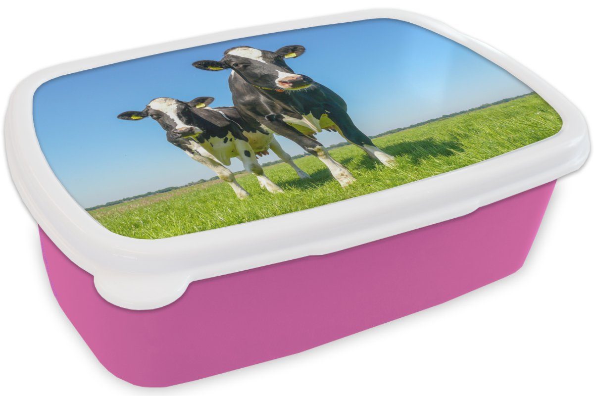 für Kunststoff, - Bauernhof, Brotdose Weide Kühe - Kinder, (2-tlg), - Lunchbox MuchoWow Snackbox, rosa Tiere Brotbox Kunststoff Mädchen, Erwachsene,