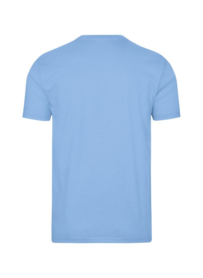 aus T-Shirt TRIGEMA T-Shirt Trigema 100% horizont Baumwolle