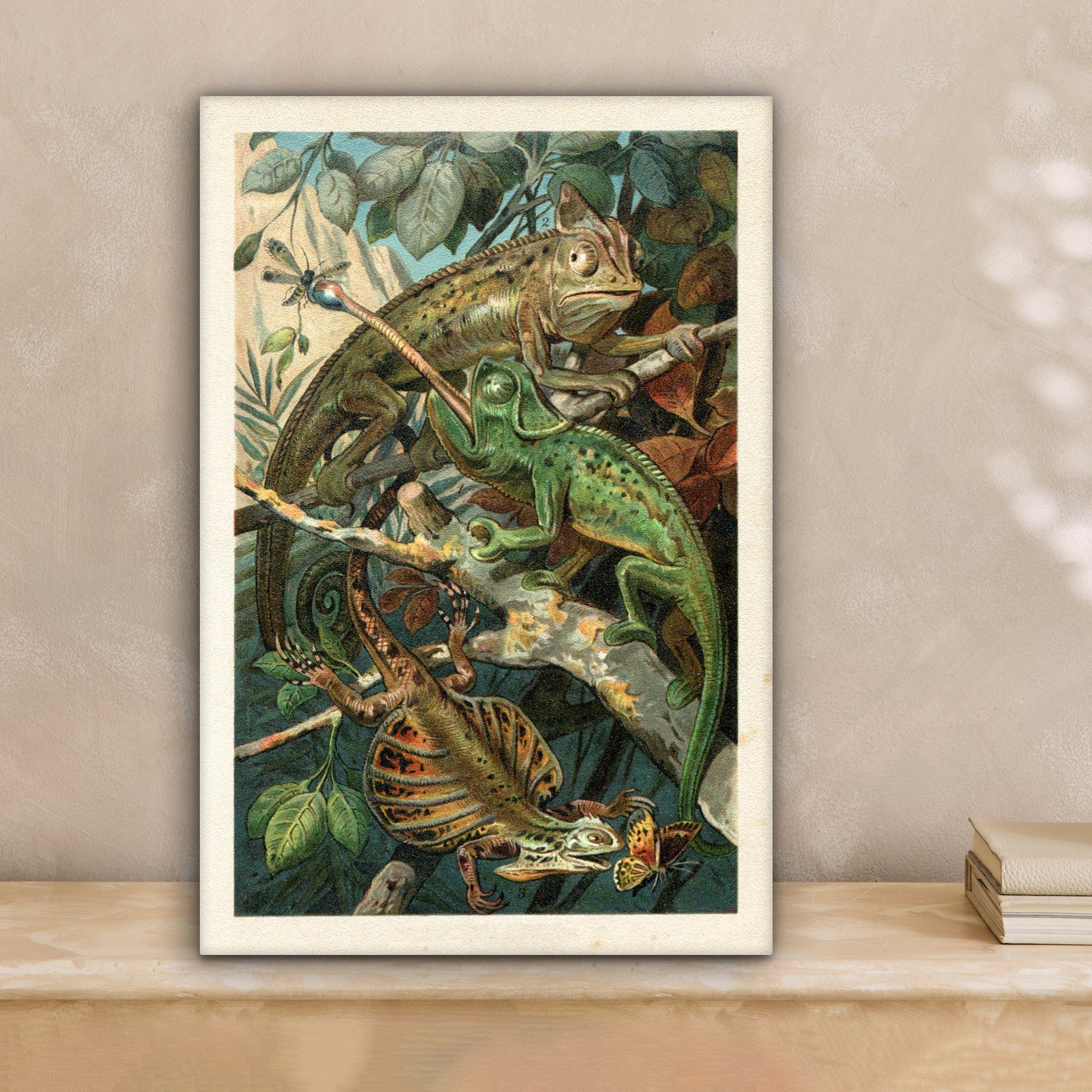 OneMillionCanvasses® Leinwandbild Vintage - Reptilien Pflanzen, - bespannt St), Leinwandbild Gemälde, 20x30 inkl. fertig Zackenaufhänger, (1 cm
