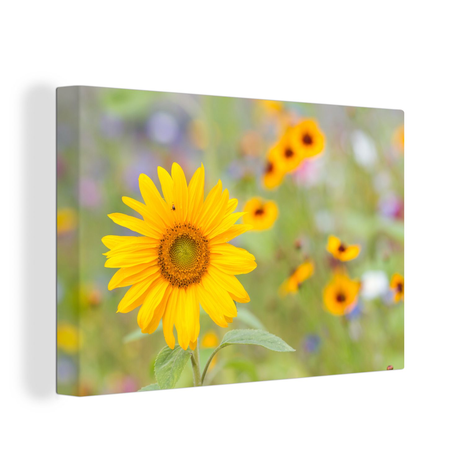 OneMillionCanvasses® Leinwandbild Blumen - Sonnenblume - Gelb, (1 St), Wandbild Leinwandbilder, Aufhängefertig, Wanddeko, 30x20 cm bunt