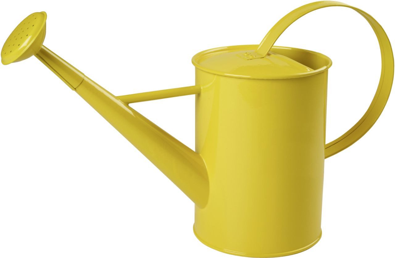 Freund Victoria Gießkanne Freund Victoria Deko-Gießkanne 1,75 L Metall bunt