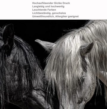 TPFLiving Kunstdruck (OHNE RAHMEN) Poster - Leinwand - Wandbild, Verträumtes Pferde Paar in schwarz und weiß (Verschiedene Größen), Farben: Leinwand bunt - Größe: 60x80cm