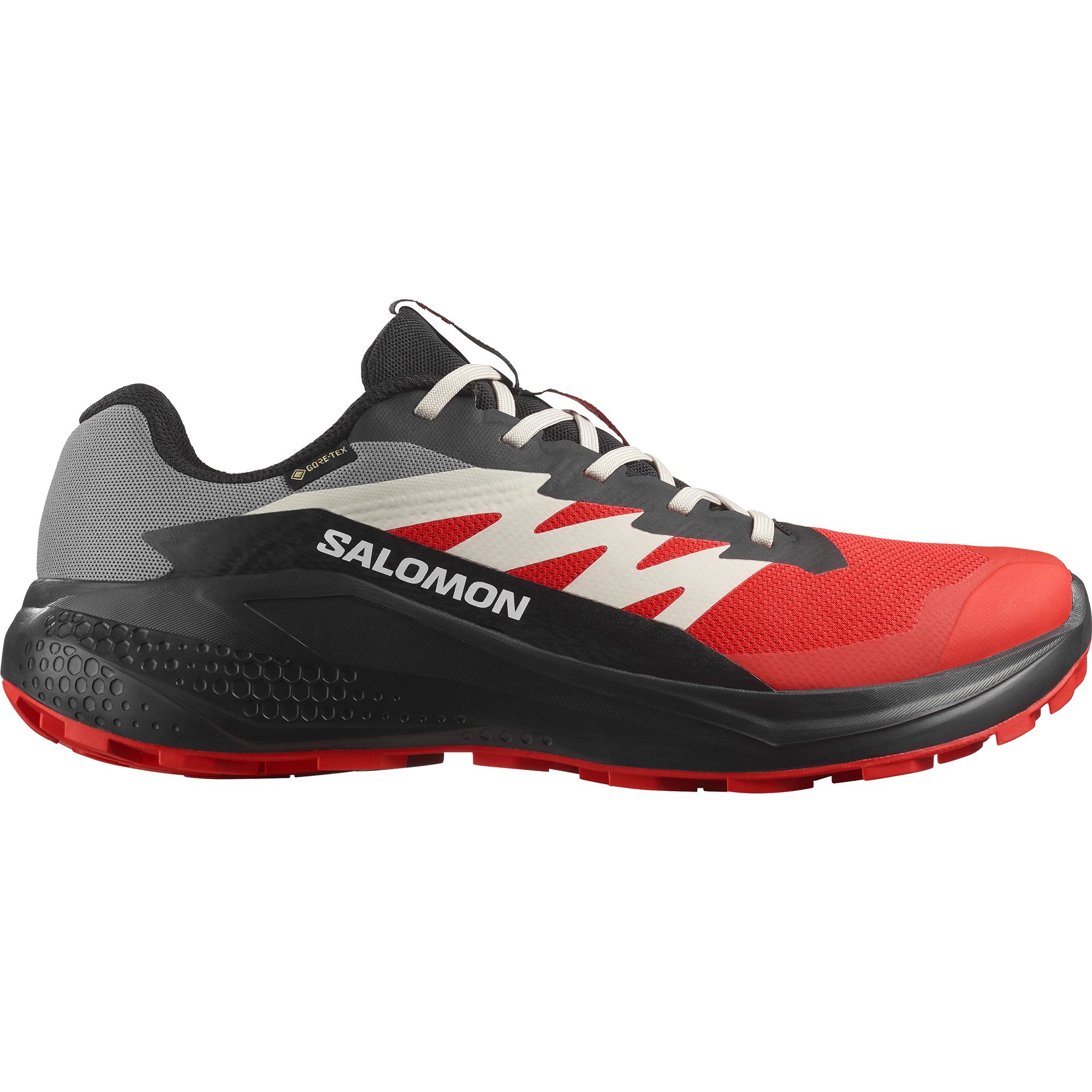 Salomon ALPHAGLIDE GORE-TEX Laufschuh wasserdicht günstig online kaufen