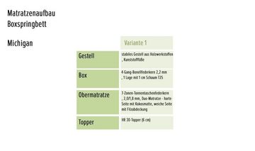 ED EXCITING DESIGN Boxspringliege (160 x 220 cm, Michigan), Grau