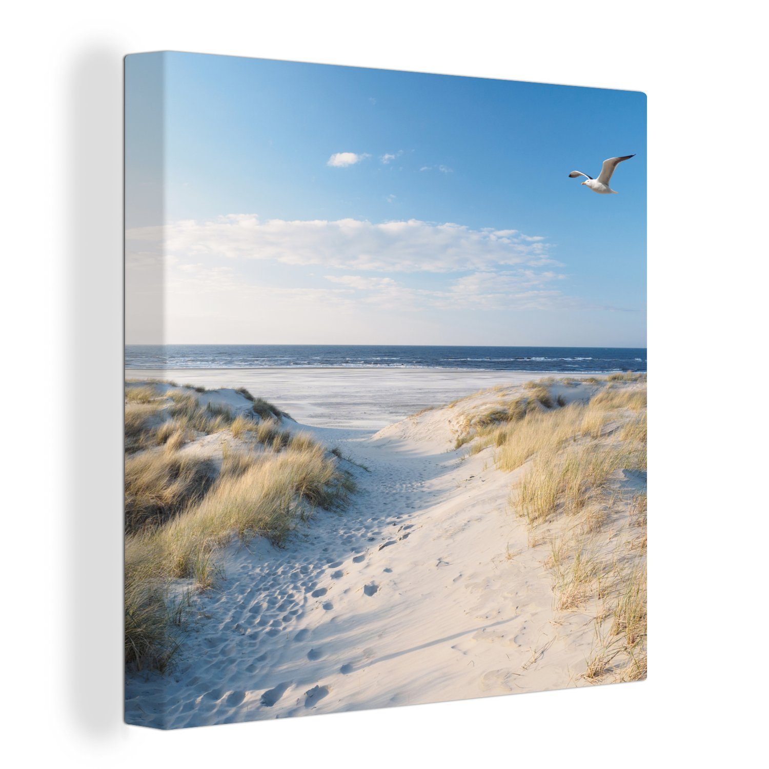 OneMillionCanvasses® Leinwandbild Düne - Möwe - Strand - Meer - Sonne, (1 St), Leinwand Bilder für Wohnzimmer Schlafzimmer