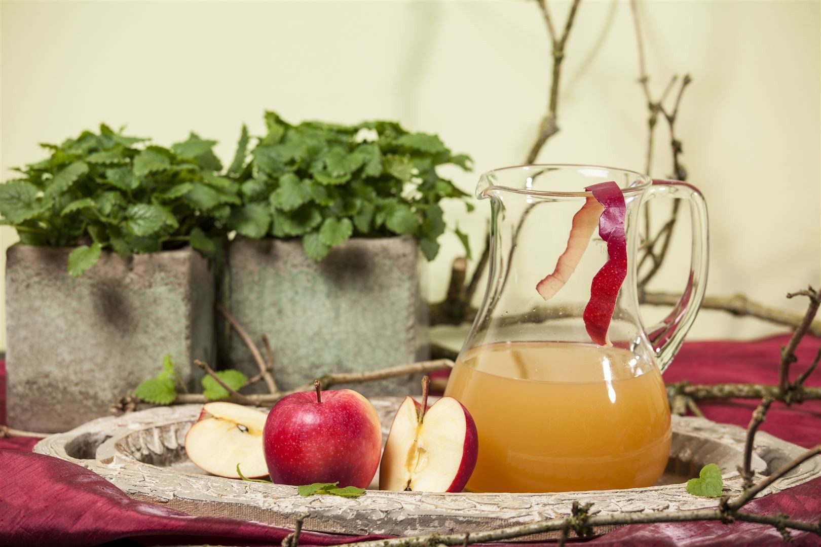Pflanzen für Dich Obstpflanze Malus 'Gala', 1 St., Gala-Apfel, Apfelbaum, rote Früchte, süßaromatisch