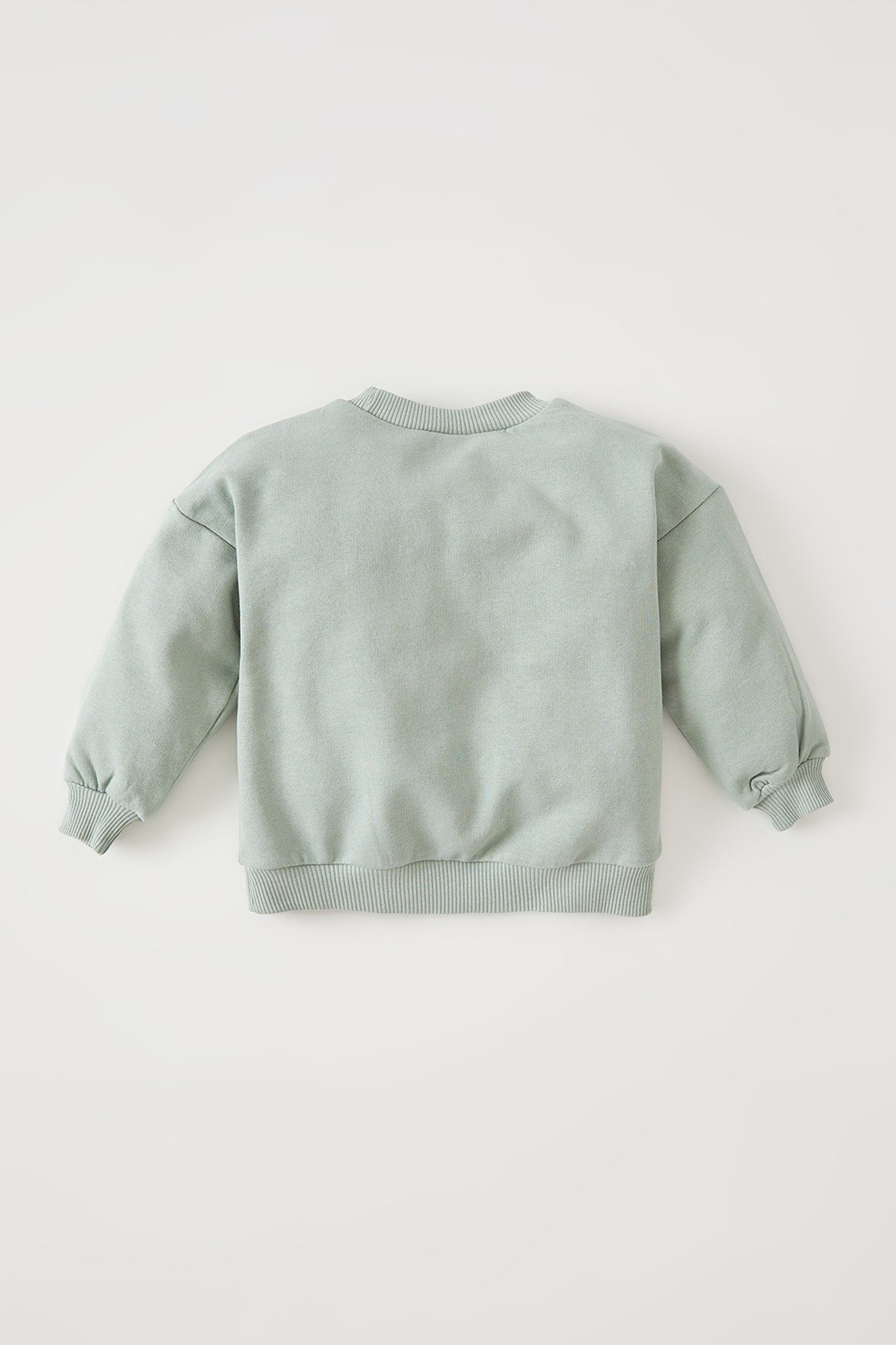 Kinder Sweater DeFacto Sweatshirt BabyGirl Sweatshirt RELAX FIT