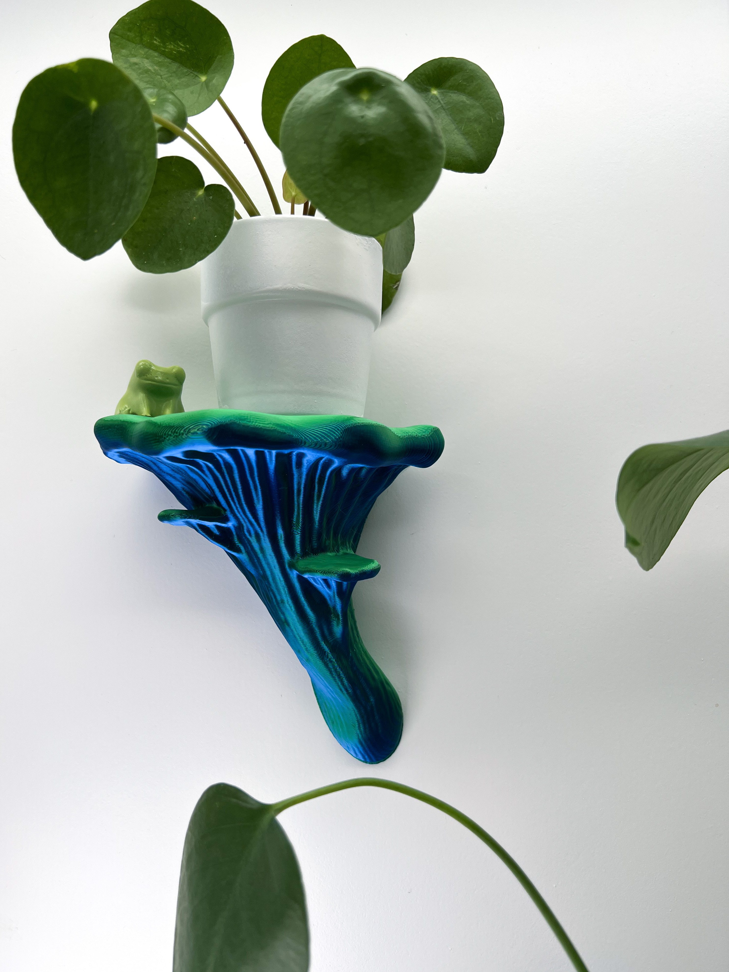 Roomberry Deko-Wandregal Schwebendes Austernpilz Wandregal, Deko Wandregal Pilz, M/L/XL, Hergestellt in Deutschland in unserer eigenen Manufaktur