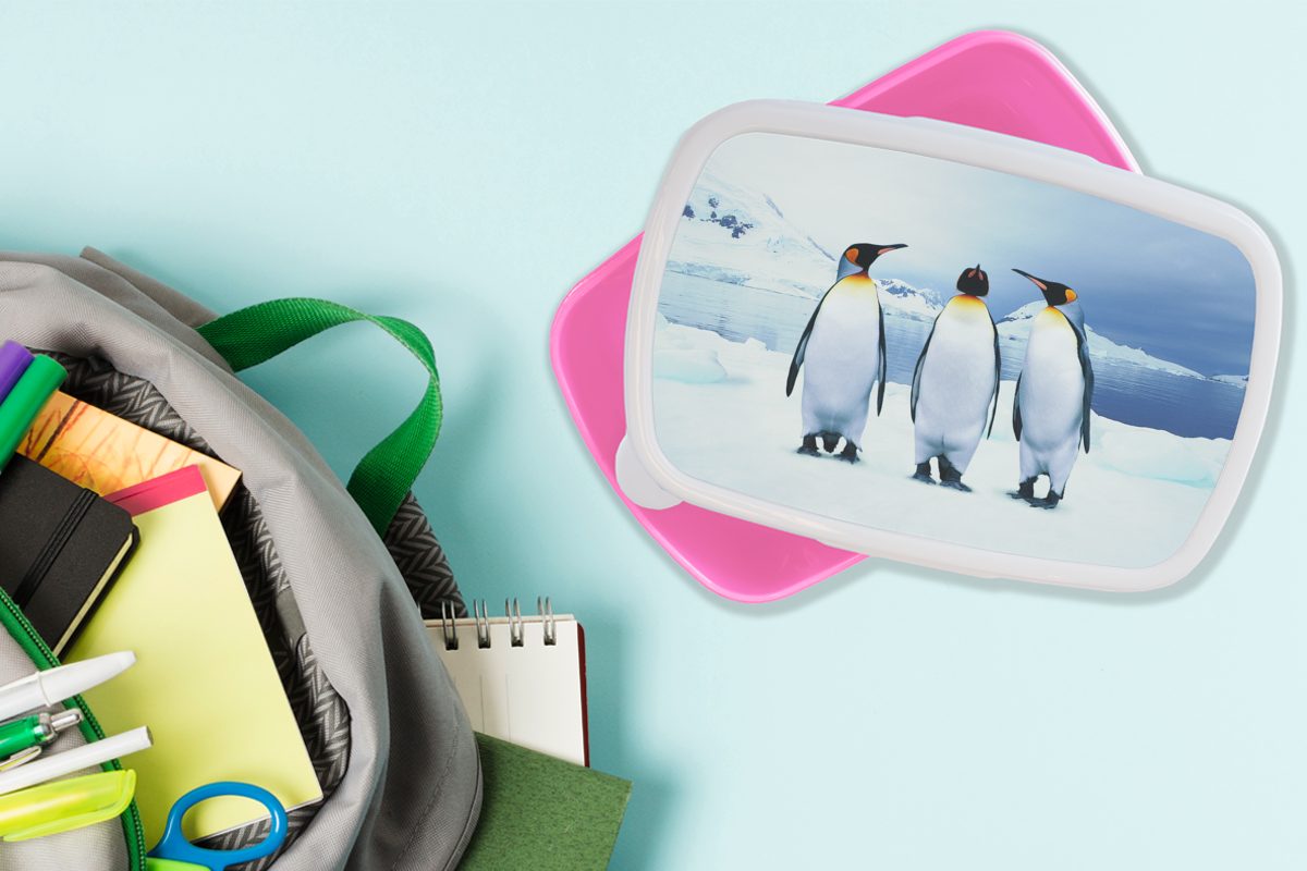 MuchoWow Lunchbox Drei Pinguine Porträt, Brotdose Erwachsene, Brotbox für Kunststoff, Snackbox, rosa Mädchen, (2-tlg), Kunststoff Kinder
