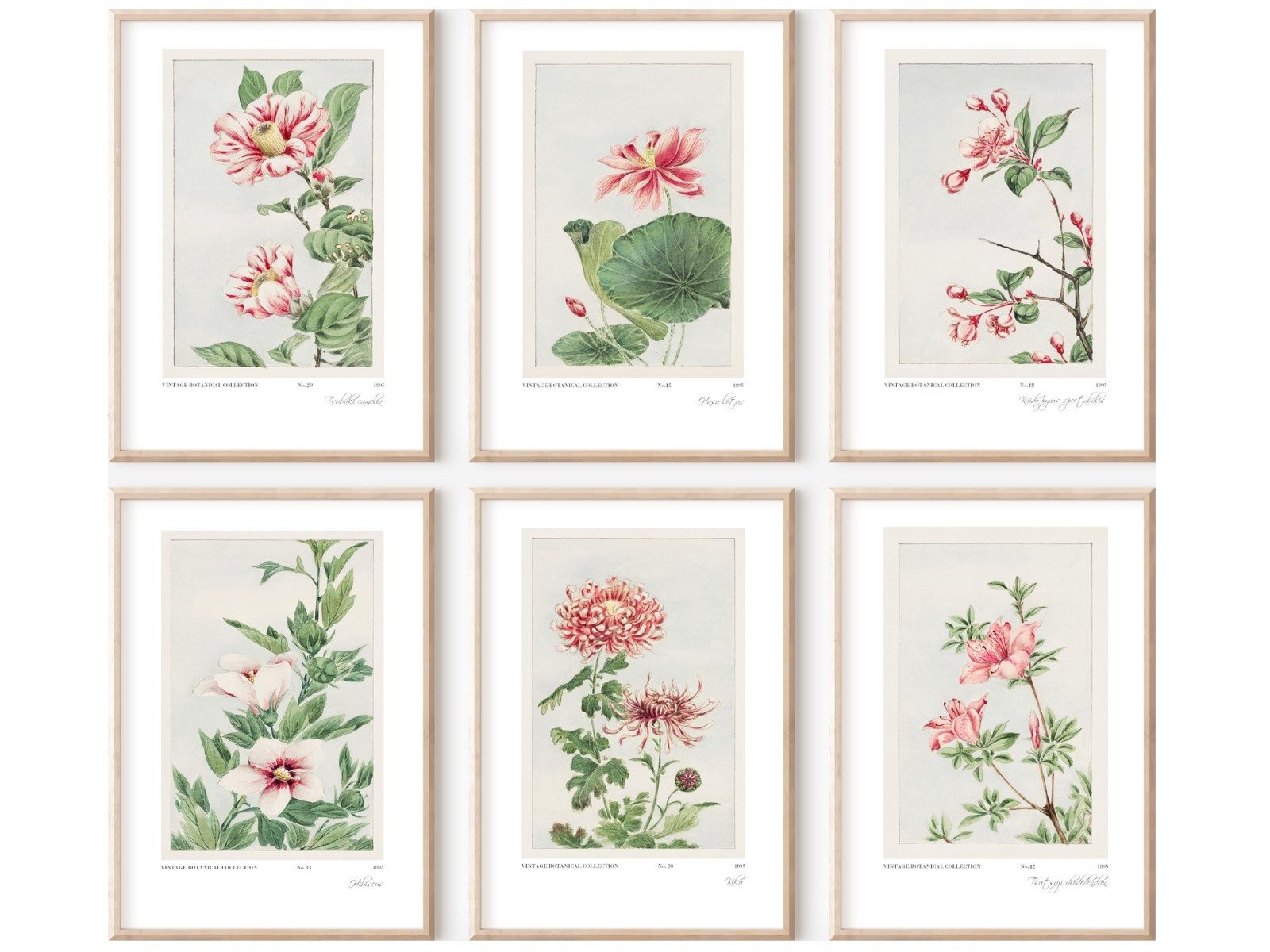 homestyle-accessoires Плакат Изображения Wandbilder Художественные репродукции VINTAGE FLOWERS 6er Set Prints, - Ohne Изображенияrahmen - sorgfältige & sichere Verpackung