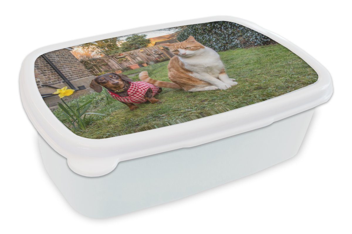 MuchoWow Lunchbox Hund - Katze - Garten, Kunststoff, (2-tlg), Brotbox für Kinder und Erwachsene, Brotdose, für Jungs und Mädchen weiß