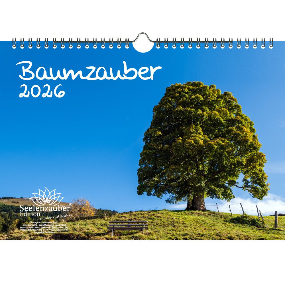 Seelenzauber Wandkalender Baumzauber DIN A4 Календари für 2026 Baum Bäume Wald Natur