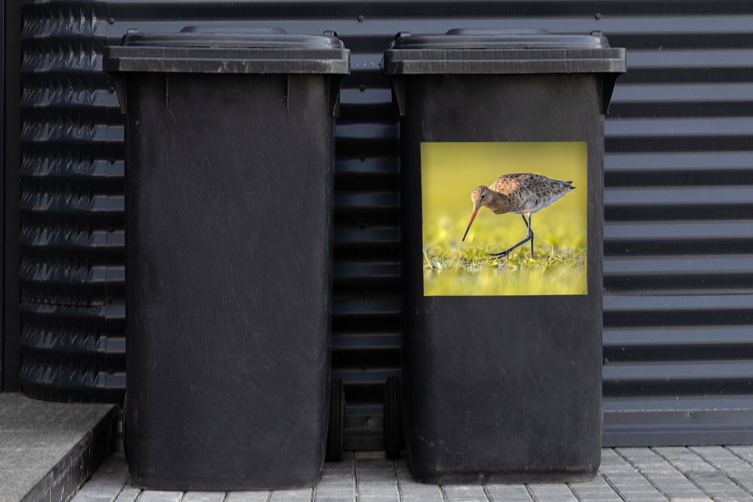 MuchoWow Wandsticker Abfalbehälter St), - Landschaft Gras - Mülltonne, Sticker, - Mülleimer-aufkleber, Container, Uferschnepfe Vögel (1