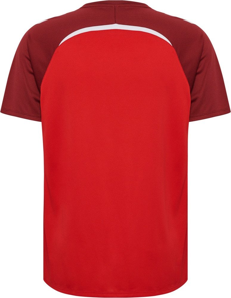 True Red/Maroon