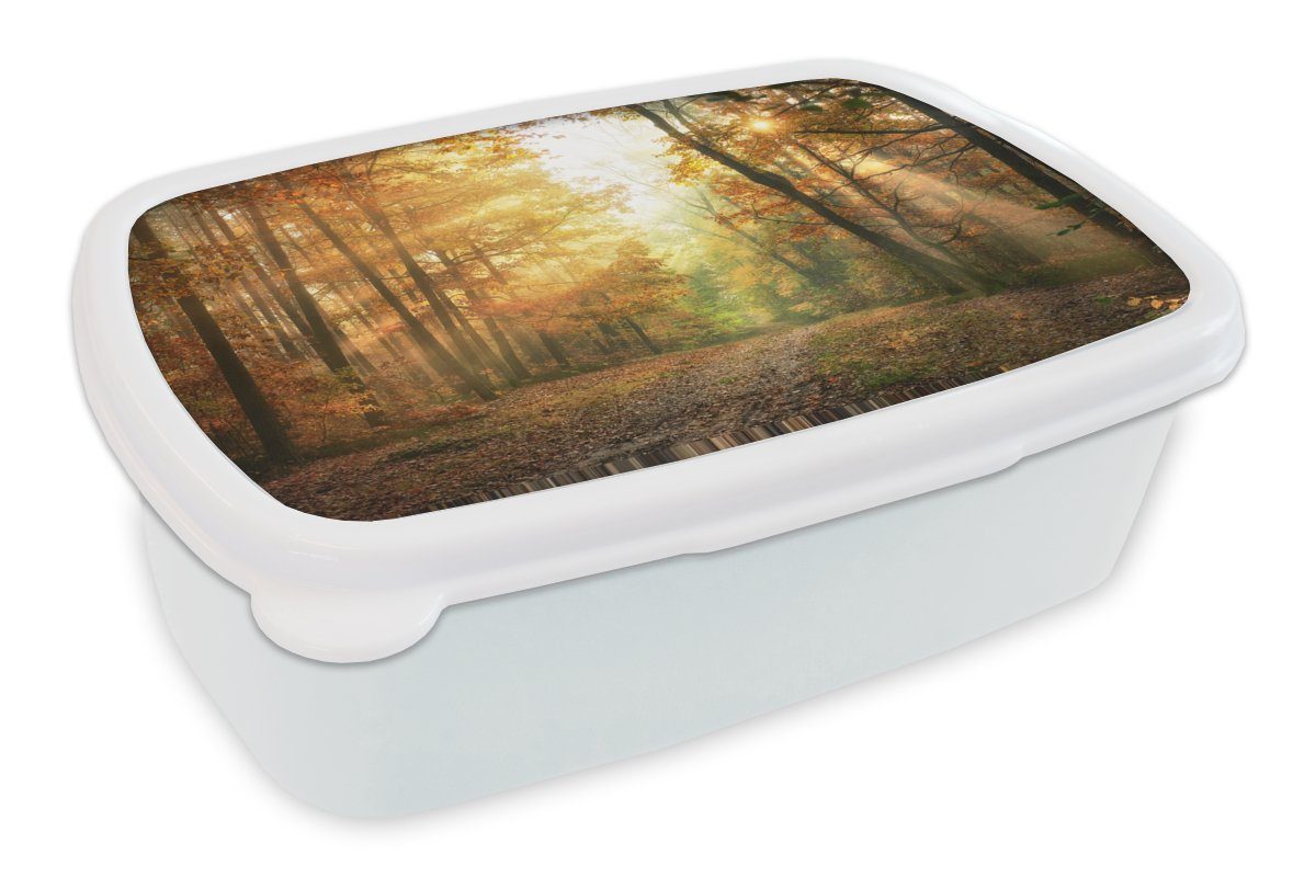 Landschaft Kinder Laub, Brotbox - - Mädchen und Wald Brotdose, (2-tlg), Herbst - MuchoWow - Lunchbox Kunststoff, - Erwachsene, für für - Sonne weiß und Bäume Natur Jungs