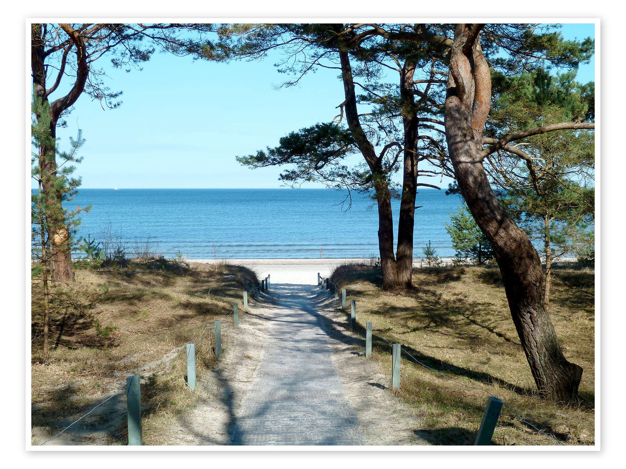Posterlounge Wandbild Am Ostseestrand auf Rügen, Andrea Potratz, erhältlich als Poster, Leinwandbild, Wandsticker oder Acrylglasbild