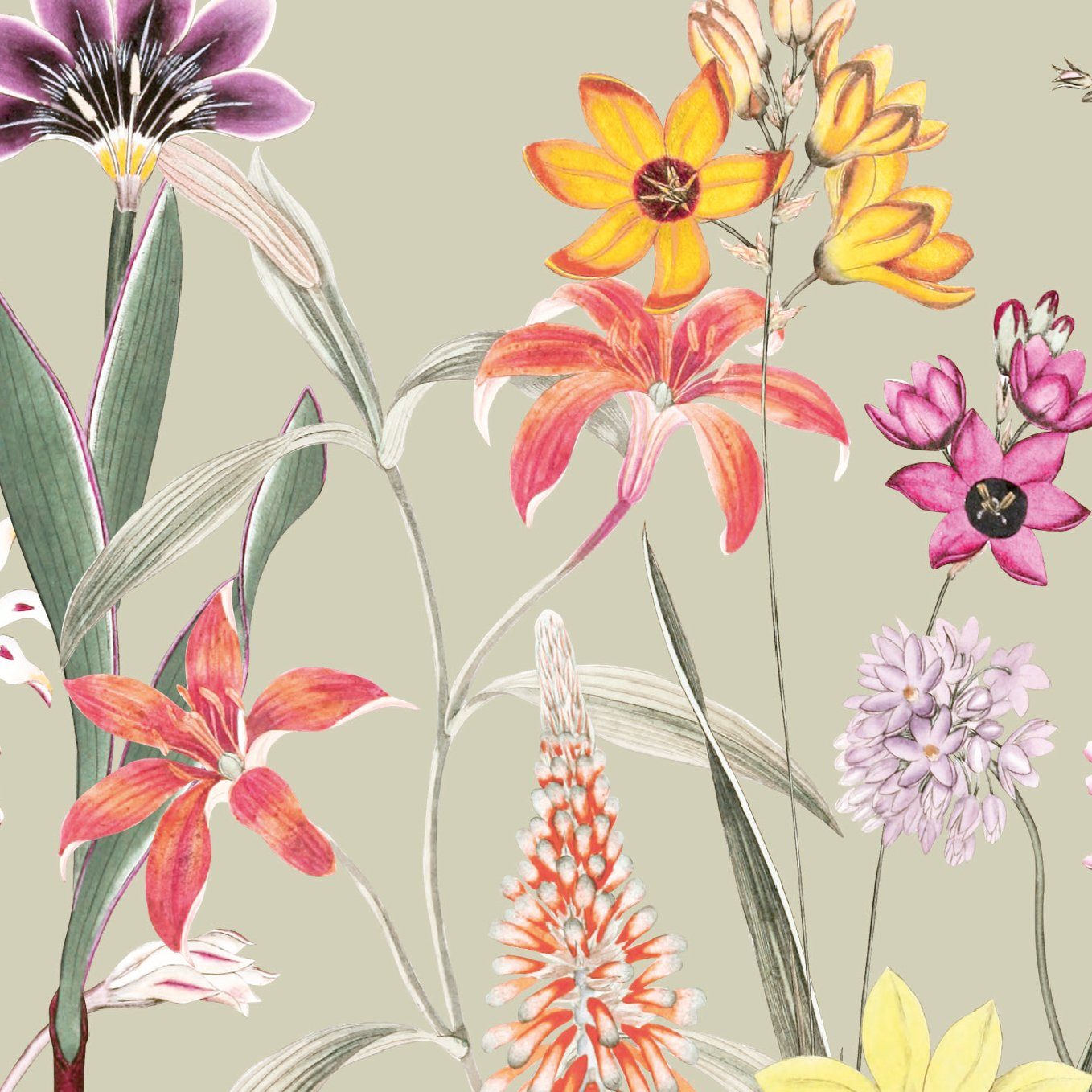 anna wand Bordüre Botanical Garden / Blumen - mehrfarbig/grün-beige - selbstklebend, floral, selbstklebend | Selbstklebende Tapeten