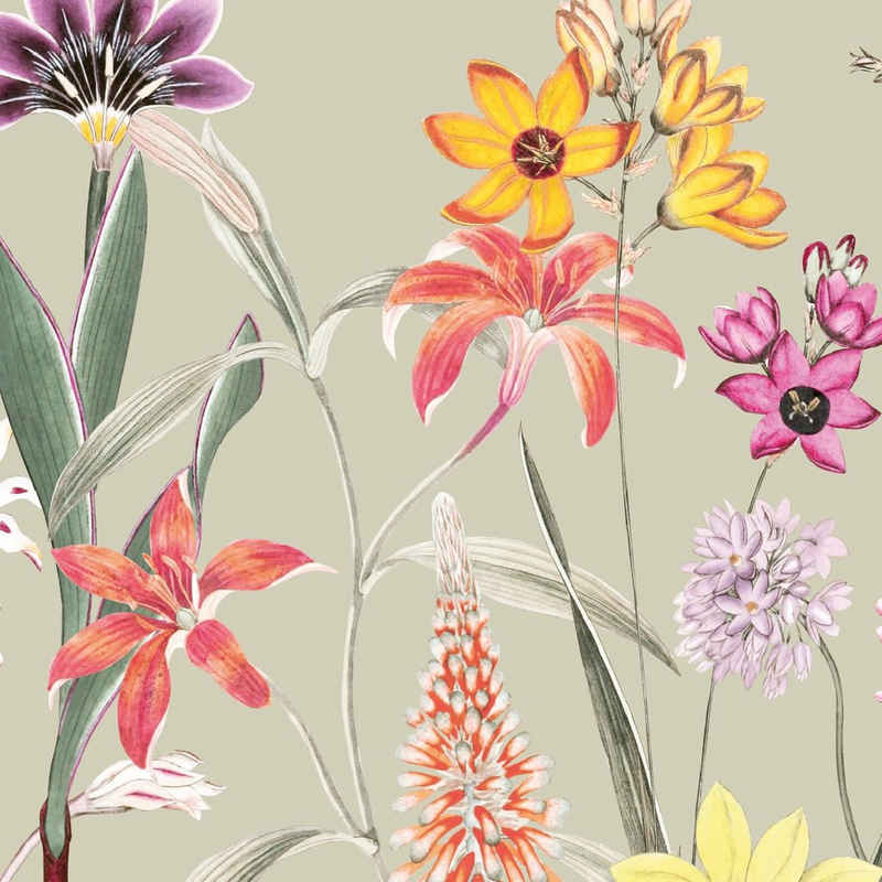 anna wand Bordüre Botanical Garden / Blumen - mehrfarbig/grün-beige - selbstklebend, floral, selbstklebend