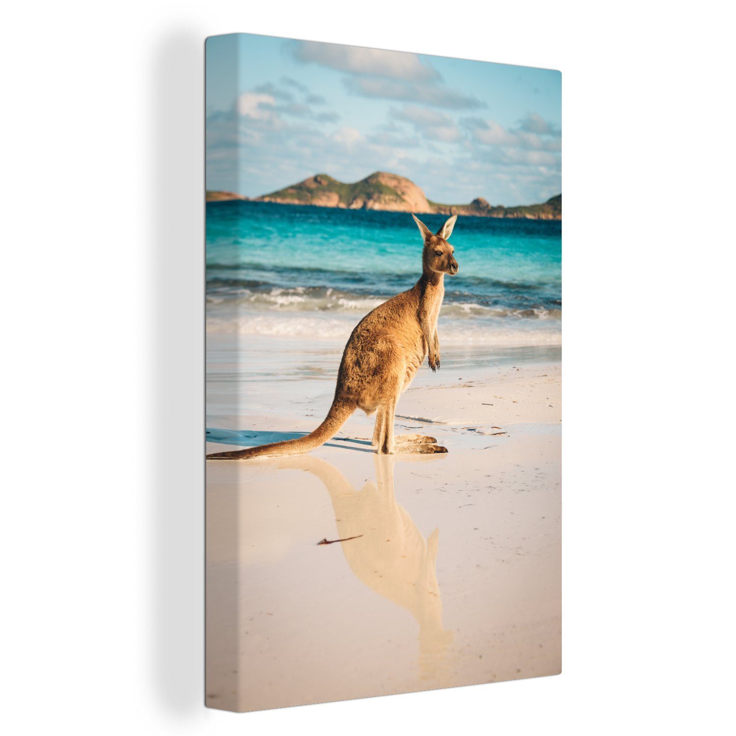 OneMillionCanvasses® Leinwandbild Känguru - Sand - Strand, (1 St), Leinwandbild fertig bespannt inkl. Zackenaufhänger, Gemälde, 20x30 cm