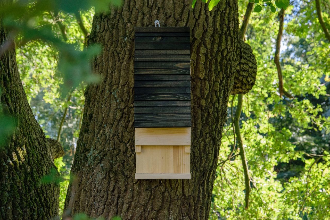 dobar Vogelhaus Dobar Fledermauskasten 19,5 x 14 x 53,3 cm schwarz