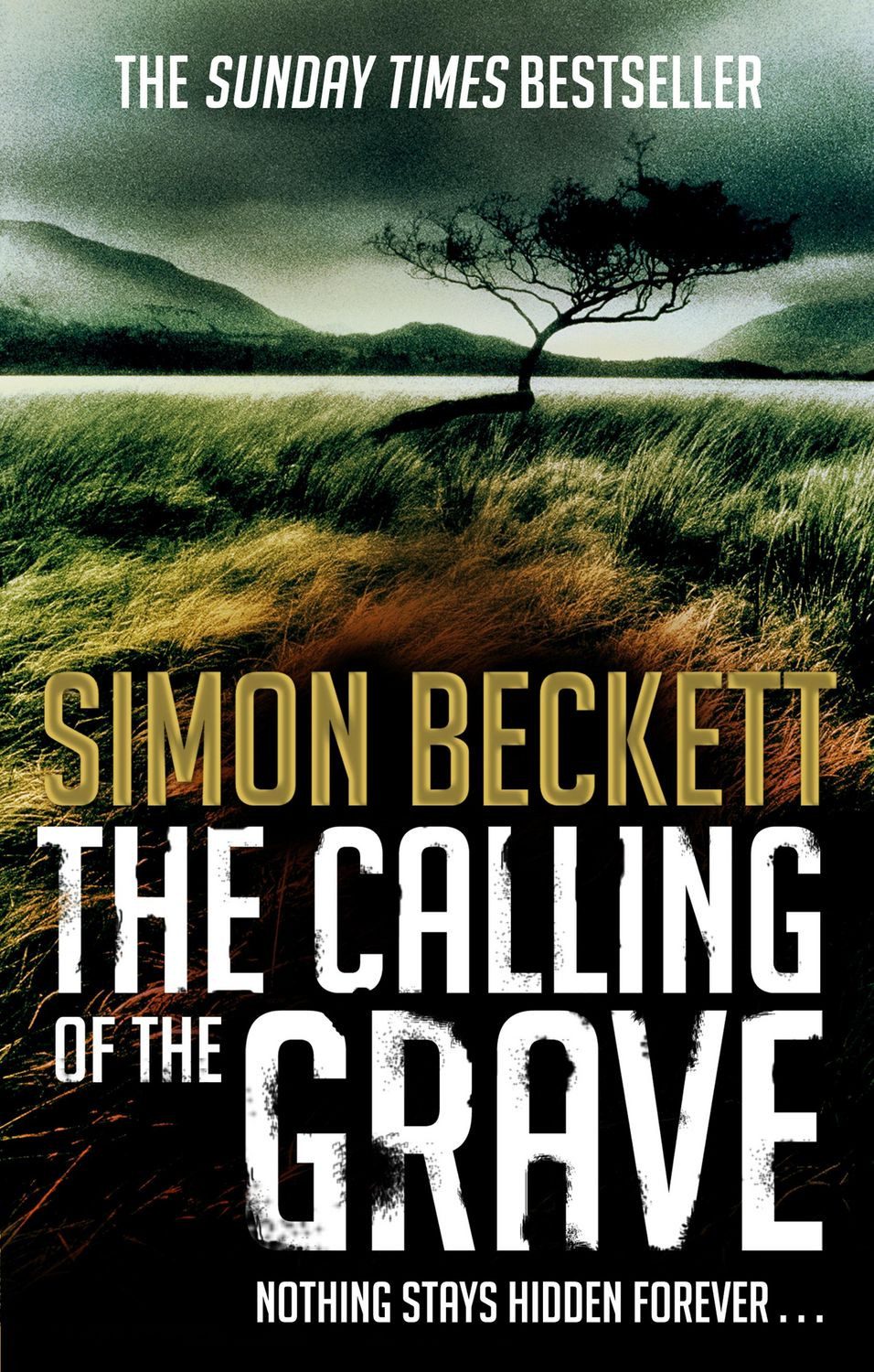Belletristik The Calling of the Grave (David Hunter 4): Harry Treadaway is Dr David Simon Beckett