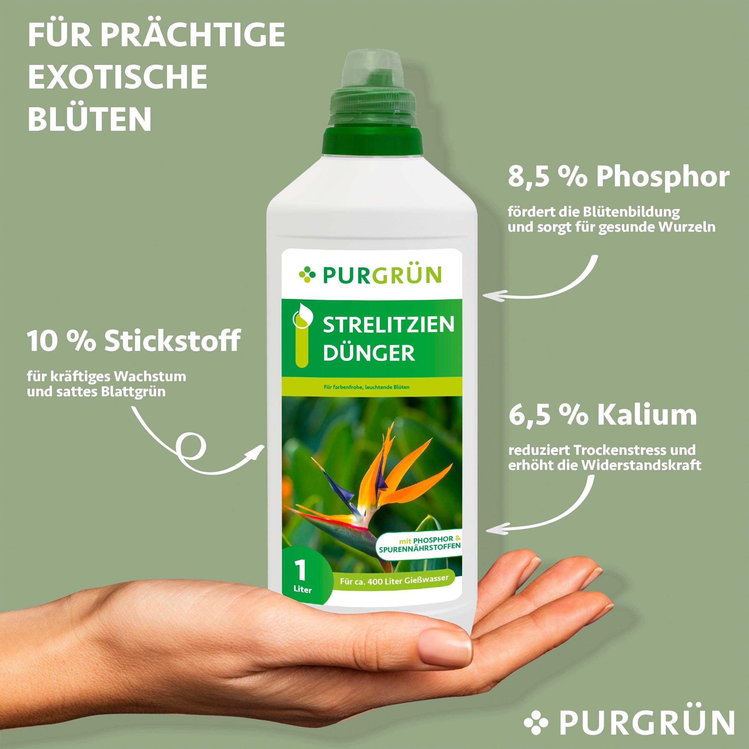Purgrün Blumendünger Purgrün Strelitzien Dünger, NPK günstig online kaufen