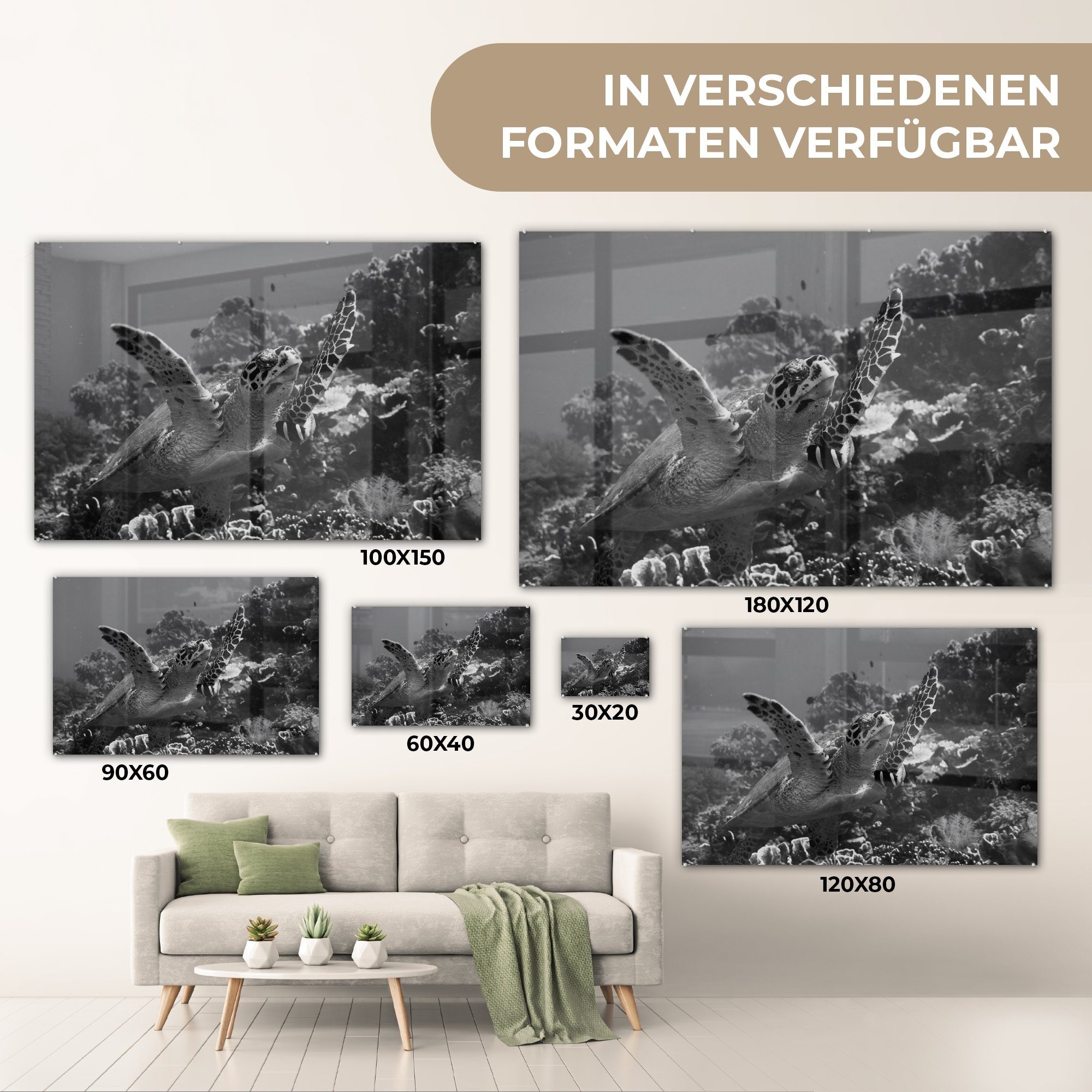 des Schwarz in (1 Weiß, MuchoWow Schlafzimmer in Nähe Acrylglasbilder & der schwimmt St), Acrylglasbild und Meeresbodens Schildkröte Wohnzimmer