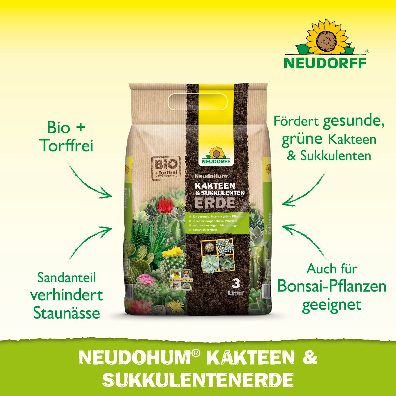 Thumbnail - Neudorff Spezialerde NeudoHum Kakteen & SukkulentenErde 3 Liter
