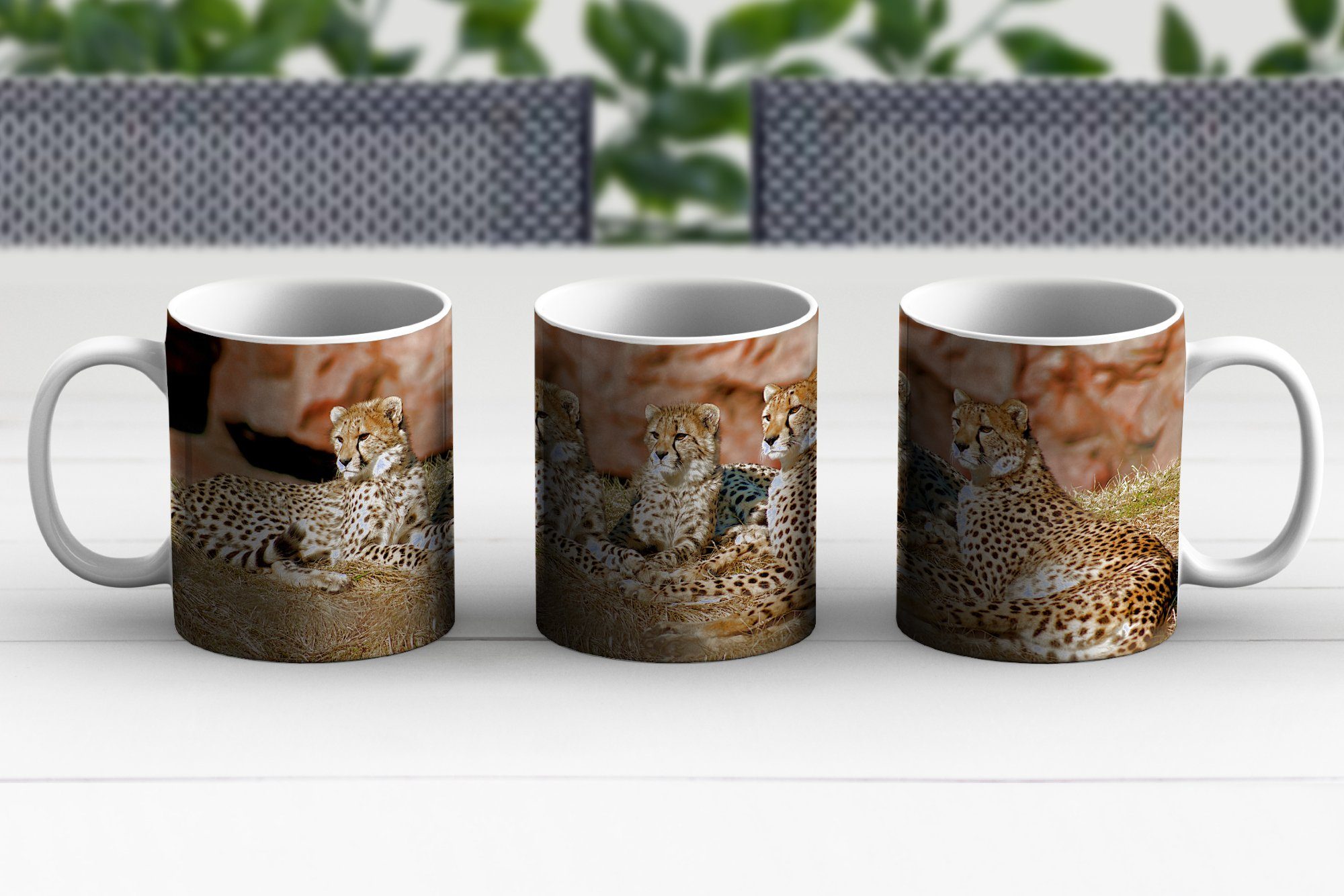 Teetasse, MuchoWow Teetasse, und Keramik, Geschenk Becher, -junge, Tasse Gepardenmutter Kaffeetassen,