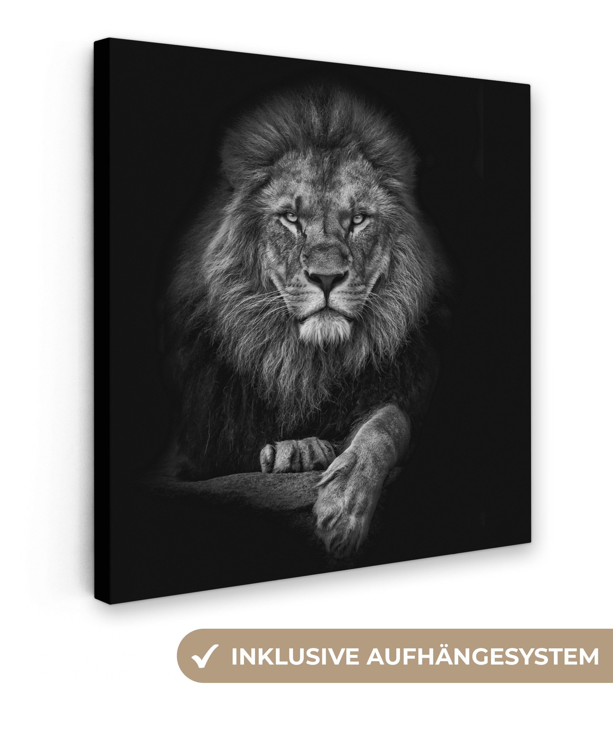 OneMillionCanvasses® Leinwandbild Löwe - Tiere - Schwarz - Weiß, Fotodruck günstig online kaufen