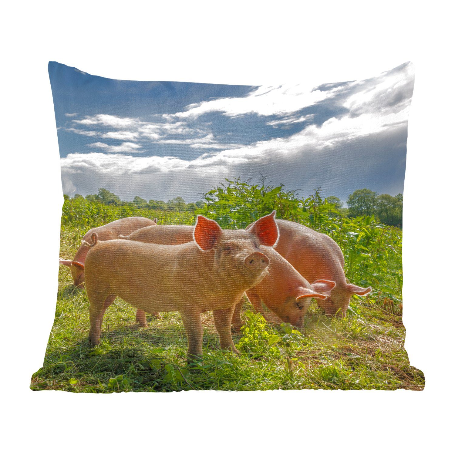 MuchoWow Dekokissen Schweine - Gras - Wolken, Zierkissen mit Füllung für Wohzimmer, Schlafzimmer, Deko, Sofakissen | Dekokissen