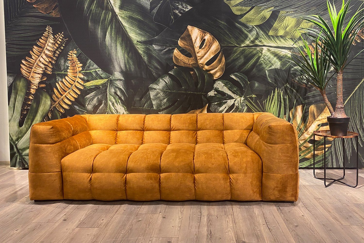 KAWOLA Sofa ROSARIO, Velvet versch. Größen und versch. Farben gold