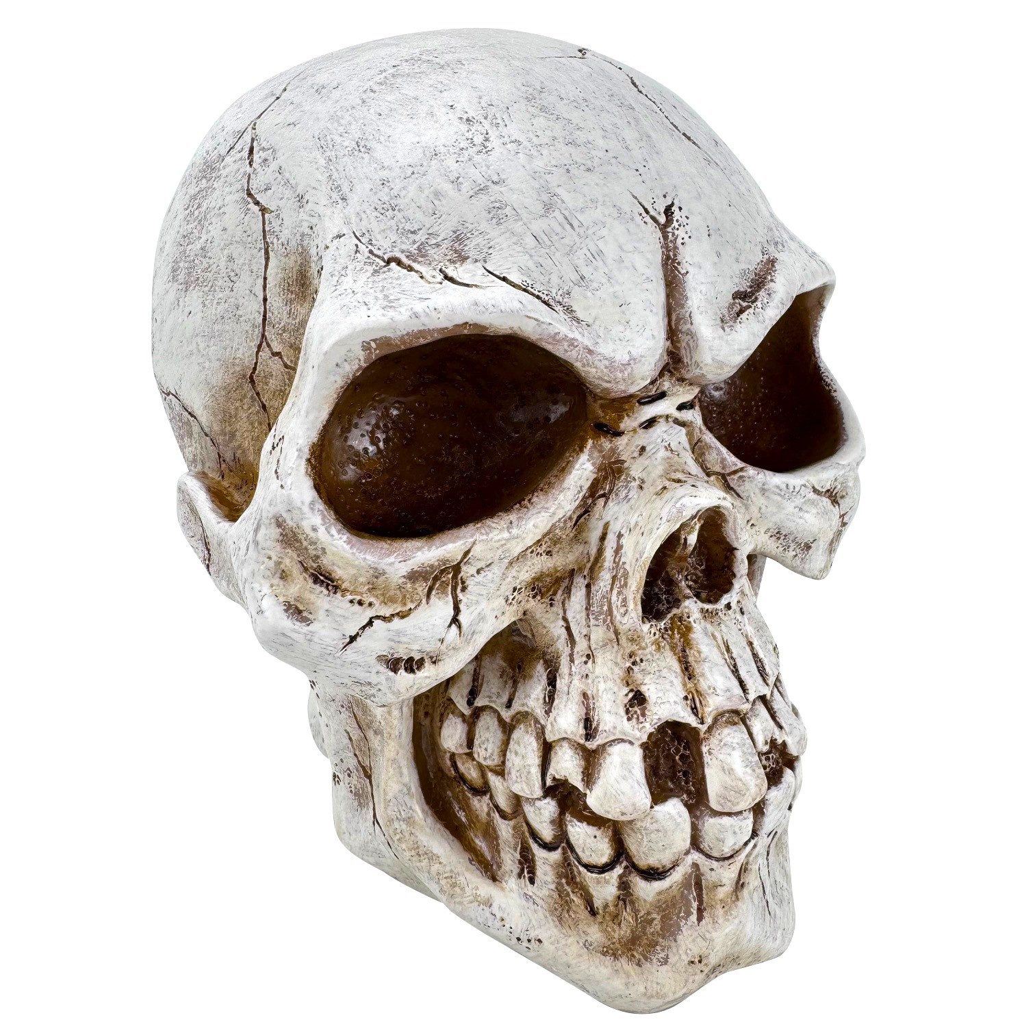 Online-Fuchs Dekofigur Totenkopf, Skull Deko - günstig online kaufen