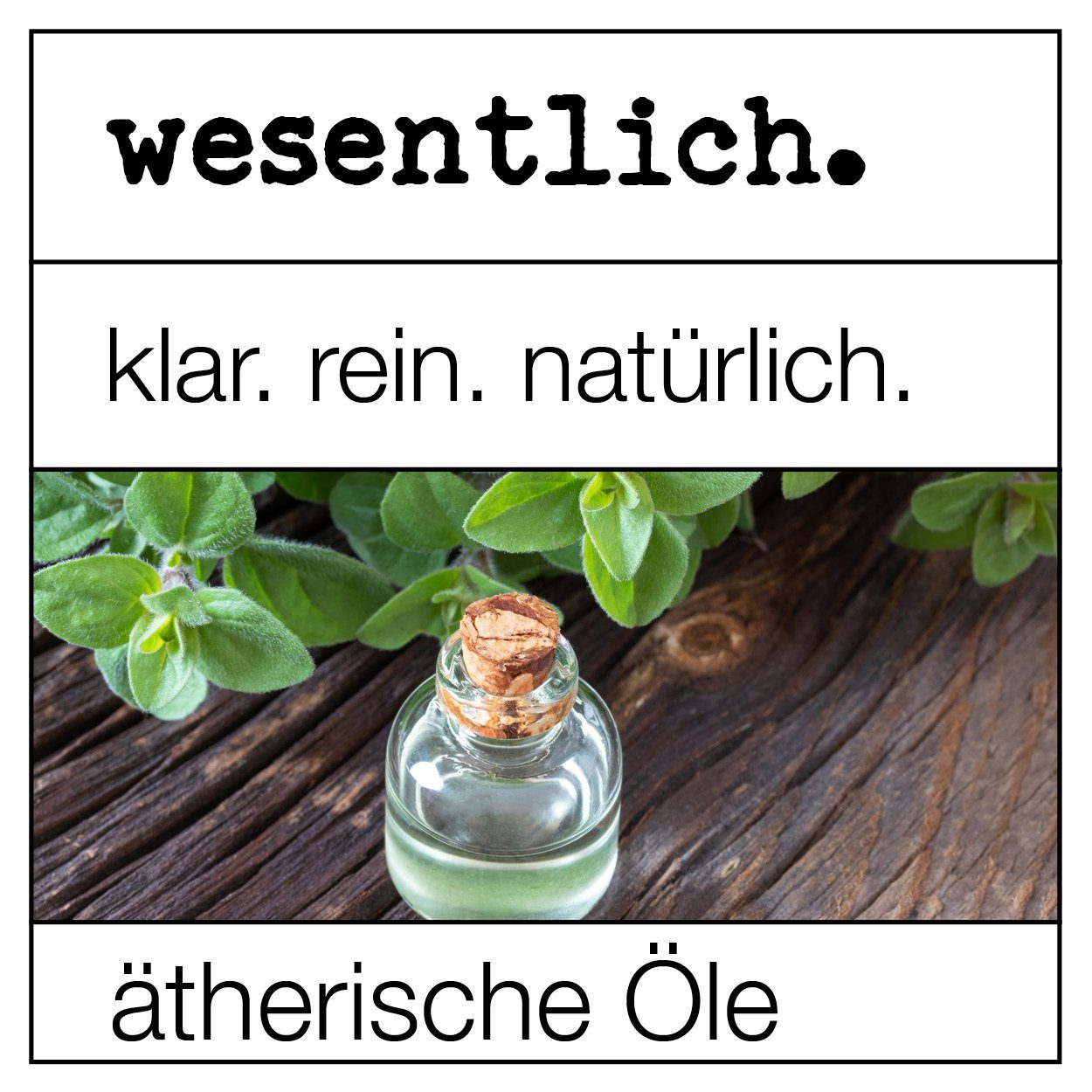 wesentlich. Duftöl Cajeput 10ml - ätherisches Öl