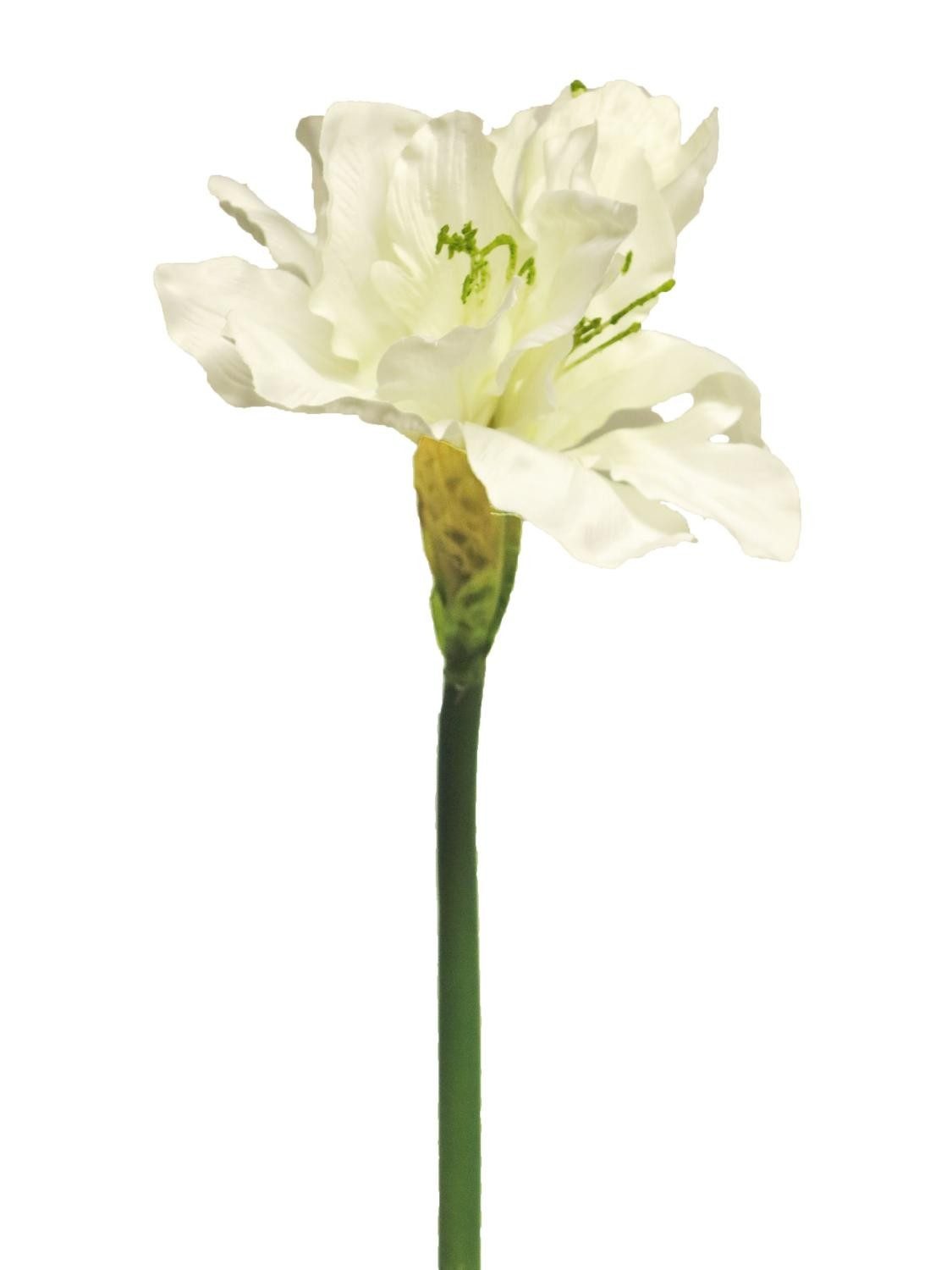 Kunstblume Amaryllis HEJIA, Creme, 60 cm Amaryllis, artplants, Höhe 60.0 cm