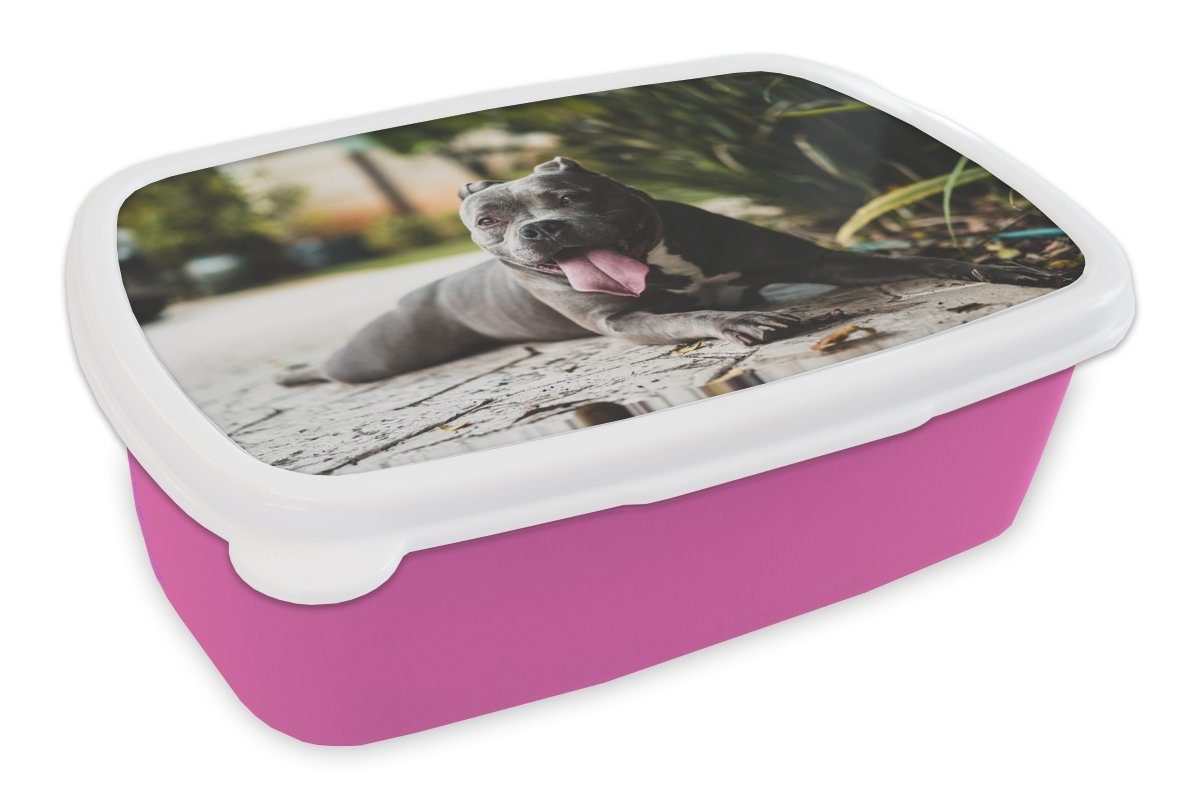 MuchoWow Lunchbox Hund - Zunge - Steine, Kunststoff, (2-tlg), Brotbox für Erwachsene, Brotdose Kinder, Snackbox, Mädchen, Kunststoff rosa