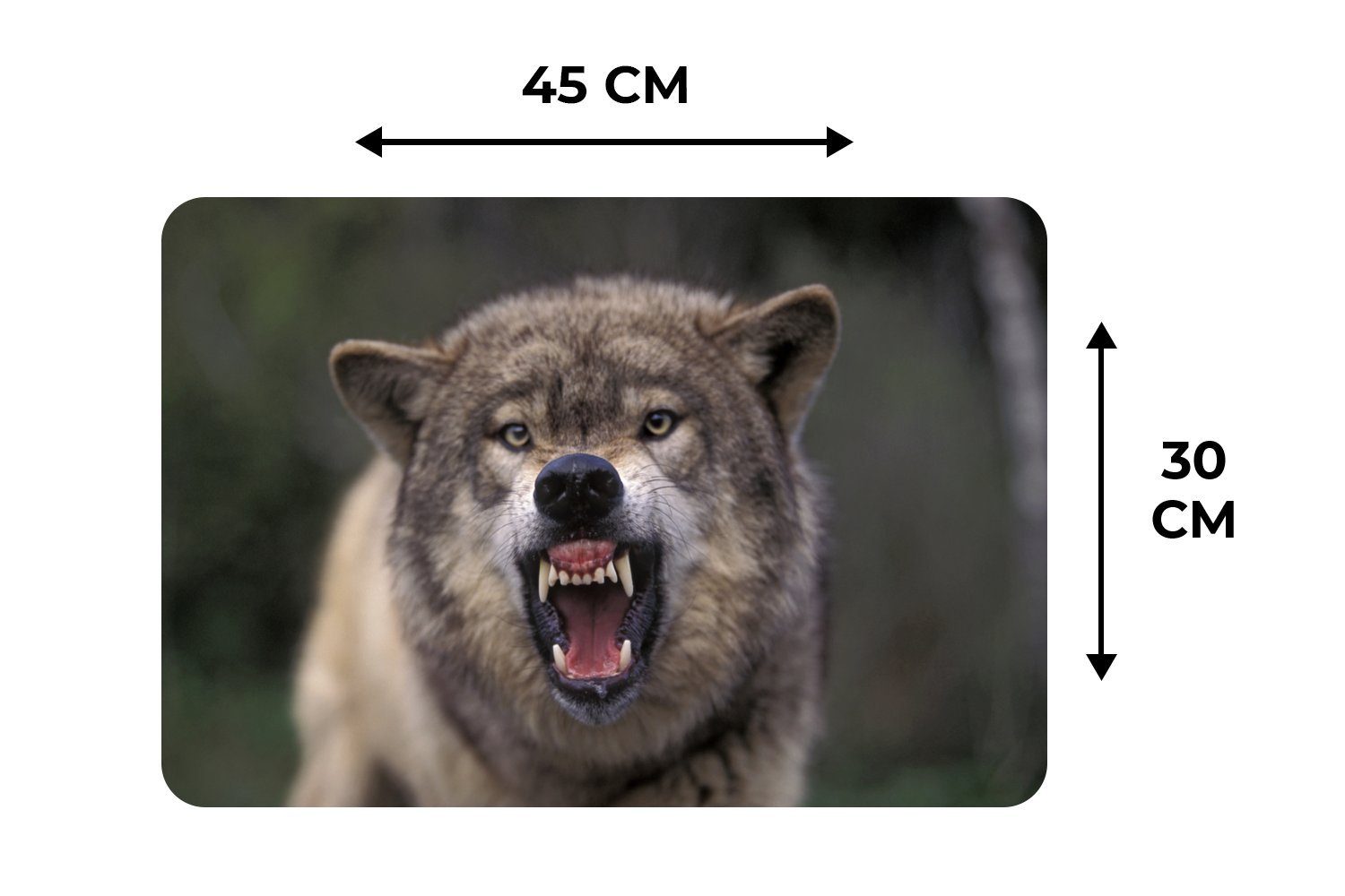 Platzset, Platzdecken, Platzset, Zähne, MuchoWow, Platzmatte, Schmutzabweisend Wolf - (6-St), Maul - Tischmatten,