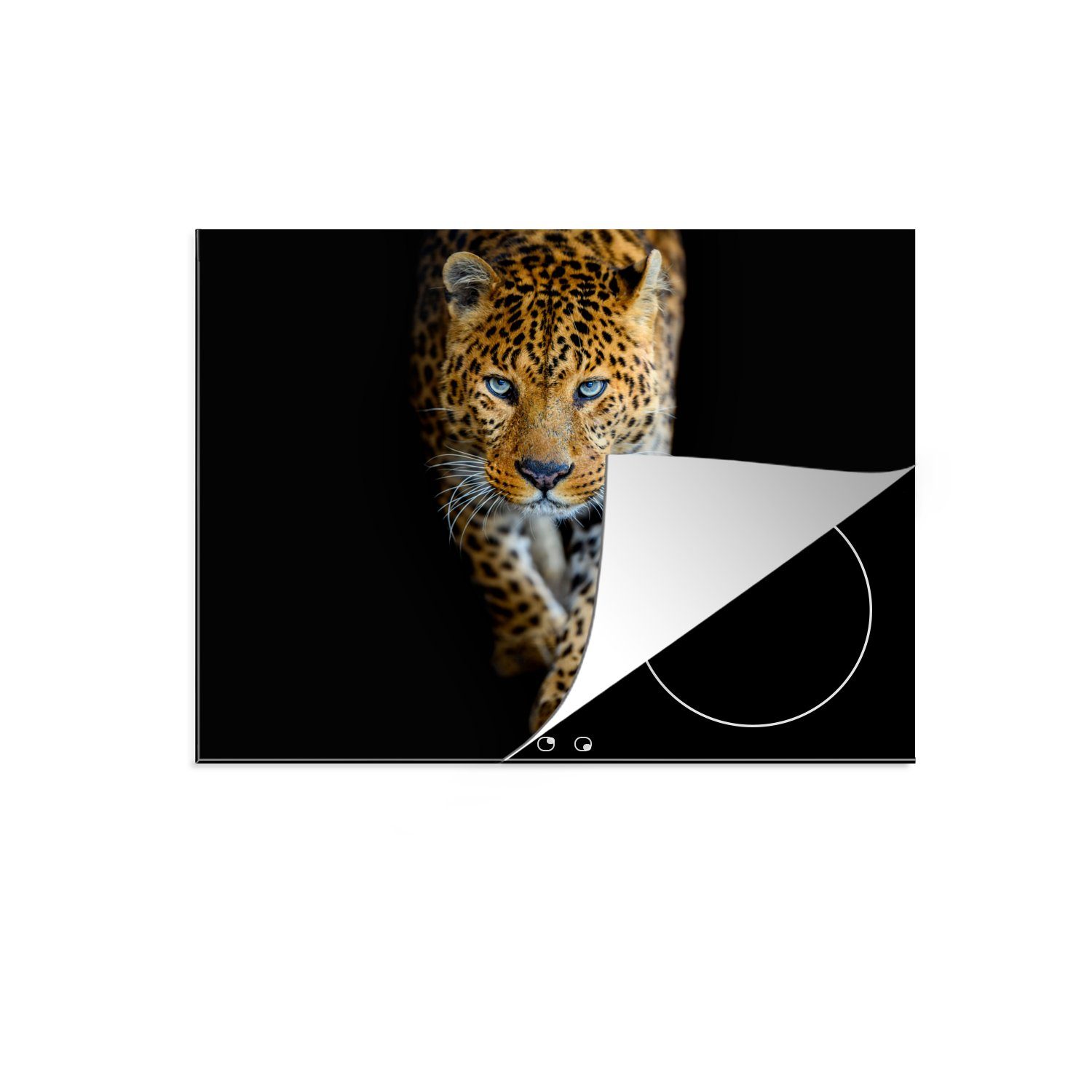 MuchoWow Herdblende-/Abdeckplatte Leopard - Tiere - Porträt - Wildtiere - Schwarz, Vinyl, (1 tlg), 58x51 cm, Küchen Dekoration für Induktionsherd, Induktionskochfeld