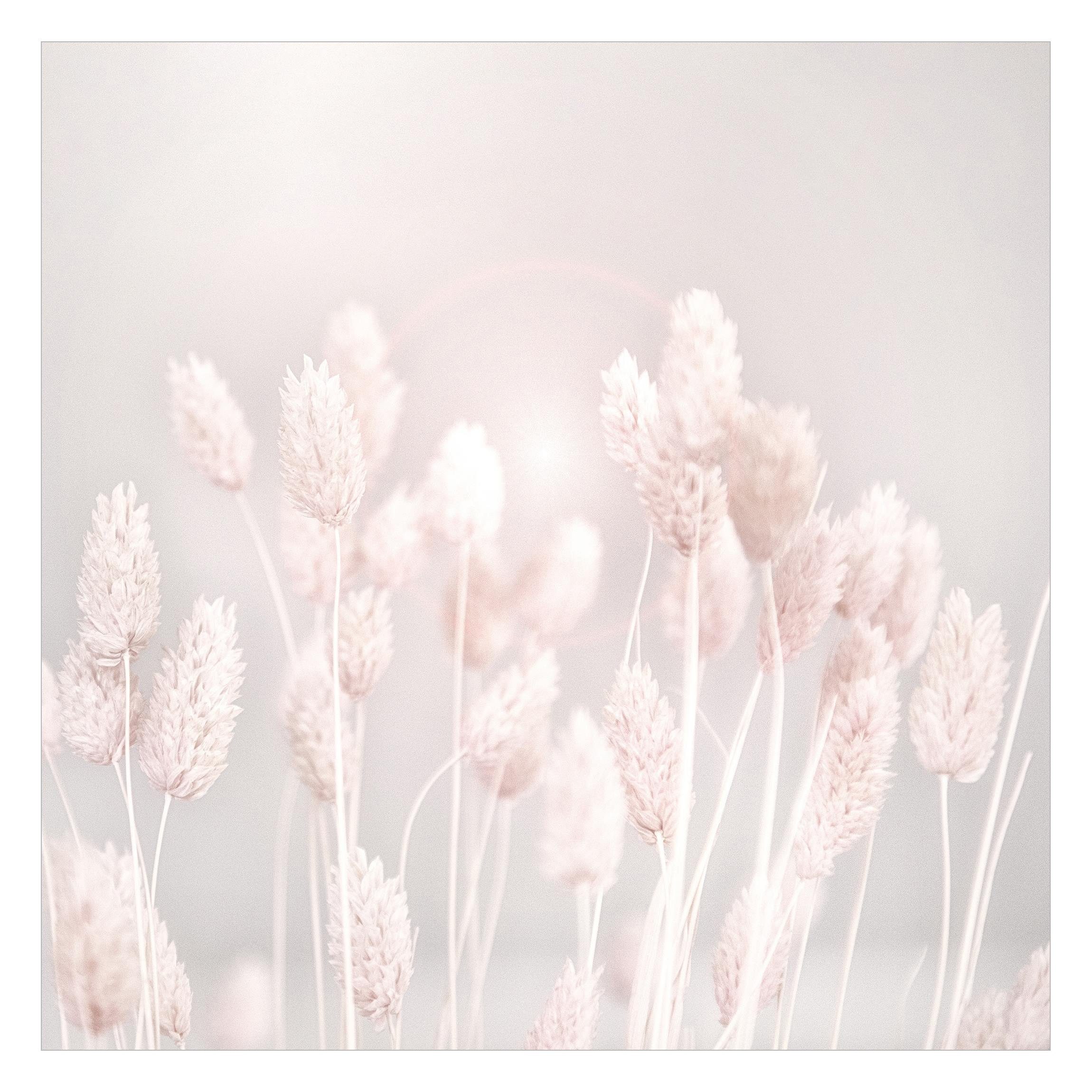 Bilderdepot24 Fototapete Blumen Helles Gras Sonnenlicht günstig online kaufen
