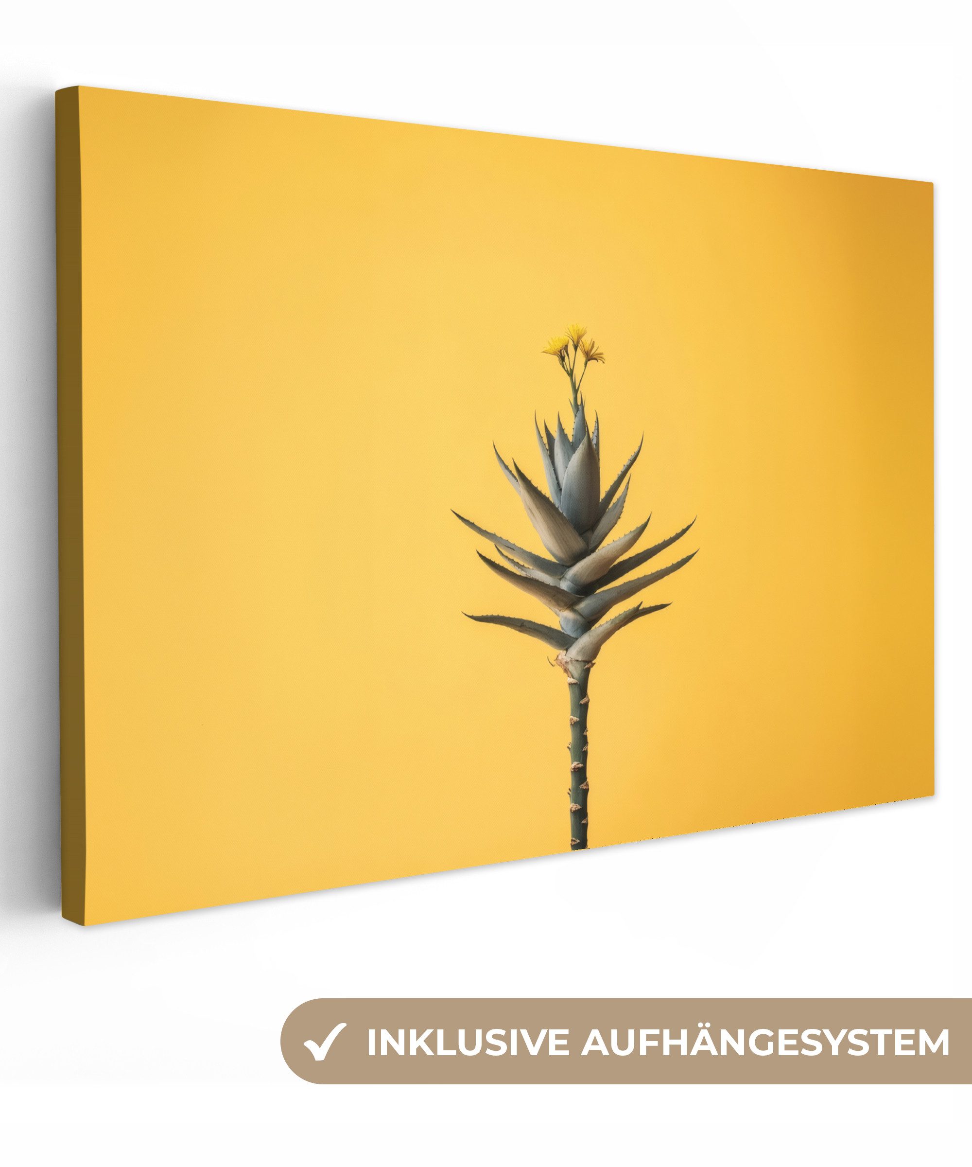 OneMillionCanvasses® Leinwandbild Pflanze - Minimalistisch - günstig online kaufen