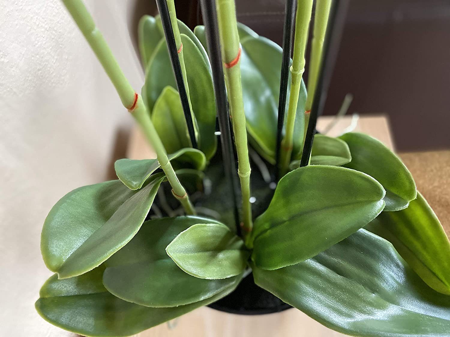 Kunstblume Kunstorchidee Orchidee, Creativ green, Höhe 90 cm