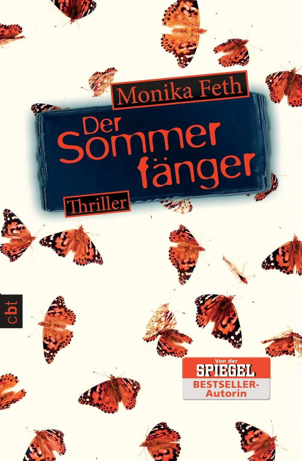 Der Sommerfänger / Monika Feth