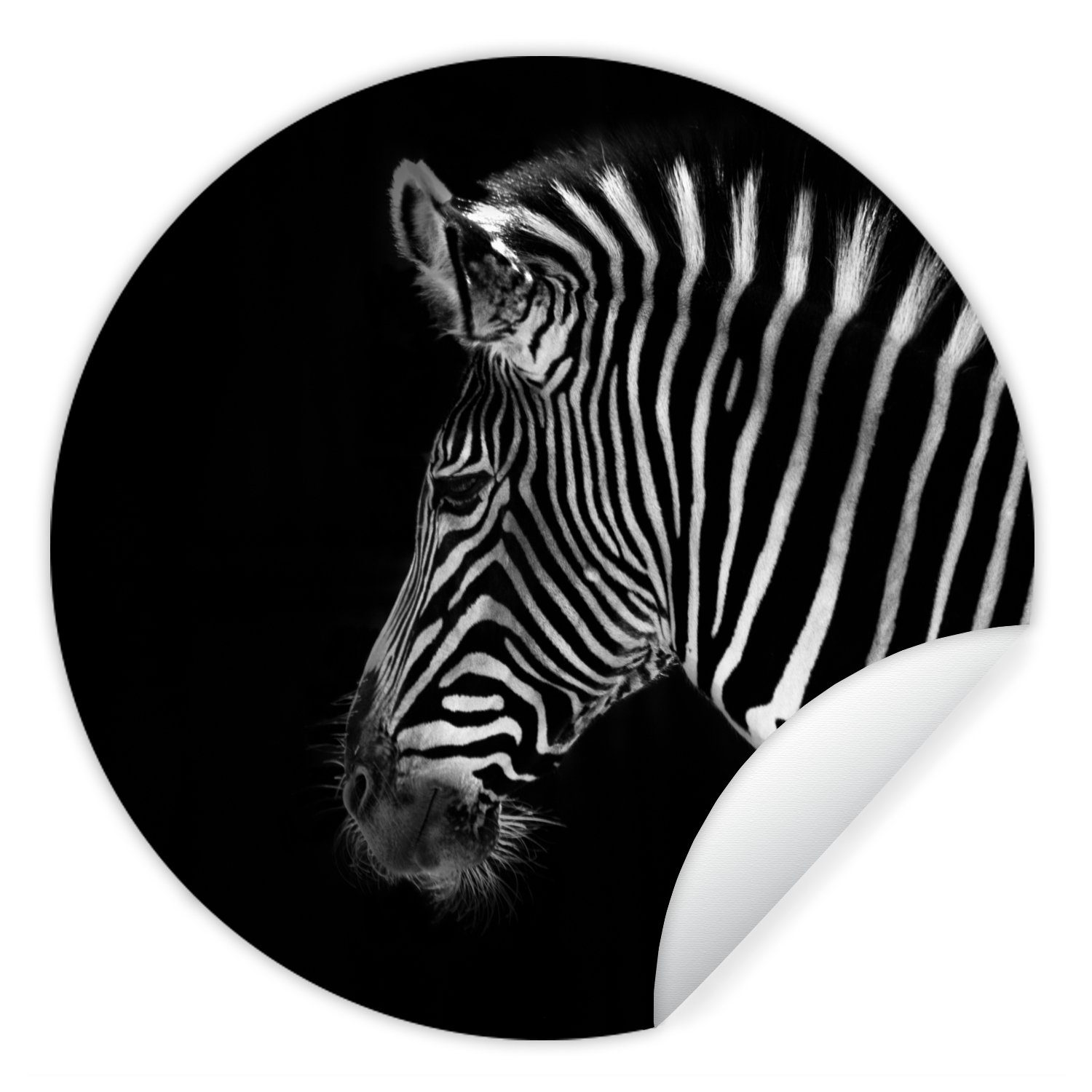 MuchoWow Wandsticker Zebra - Wilde Tiere - Schwarz (1 St), Tapetenkreis für Kinderzimmer, Tapetenaufkleber, Rund, Wohnzimmer