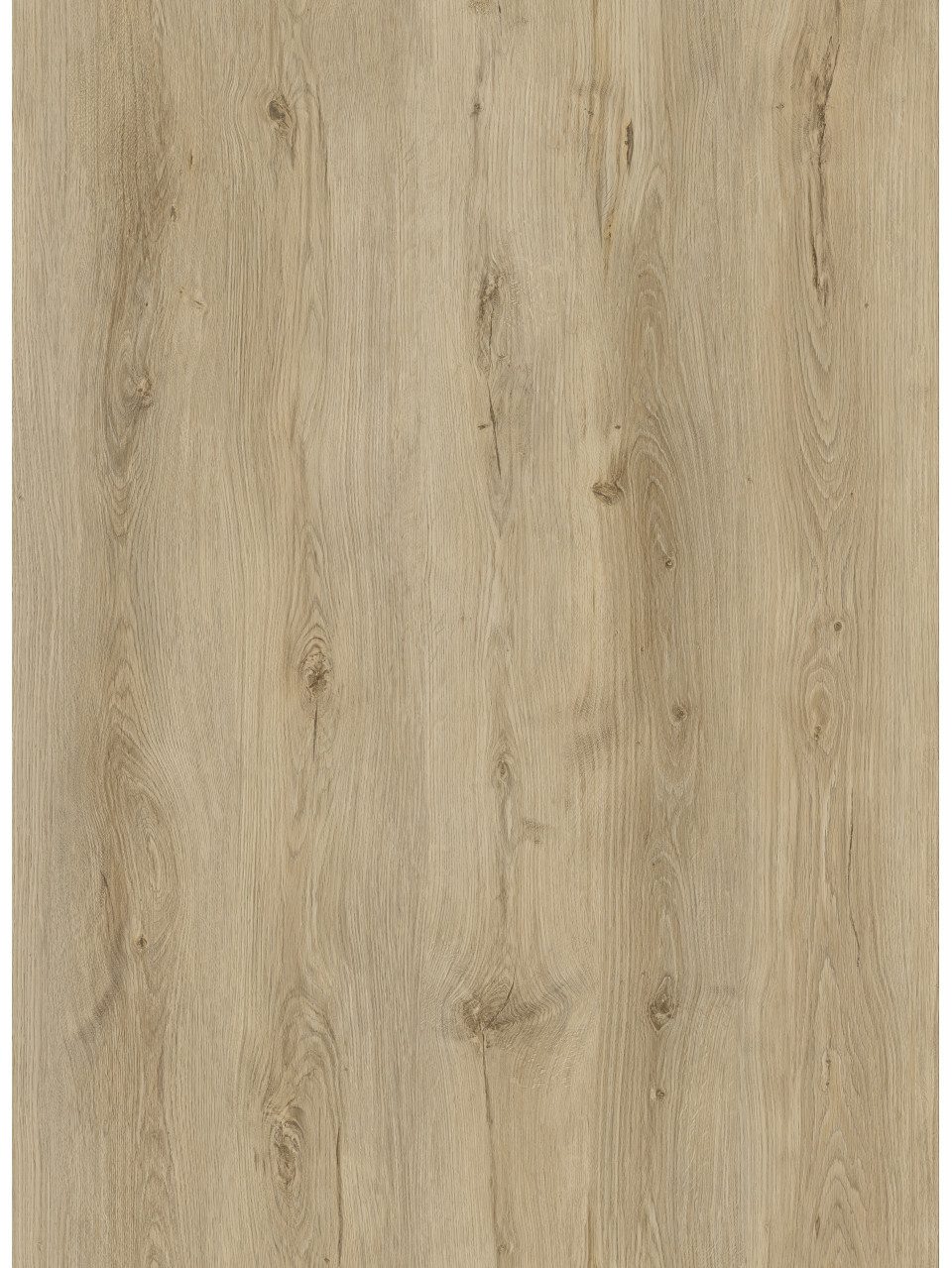 Trend Line Vinylboden TrendLine Vinylboden Eiche Landhausdiele mit